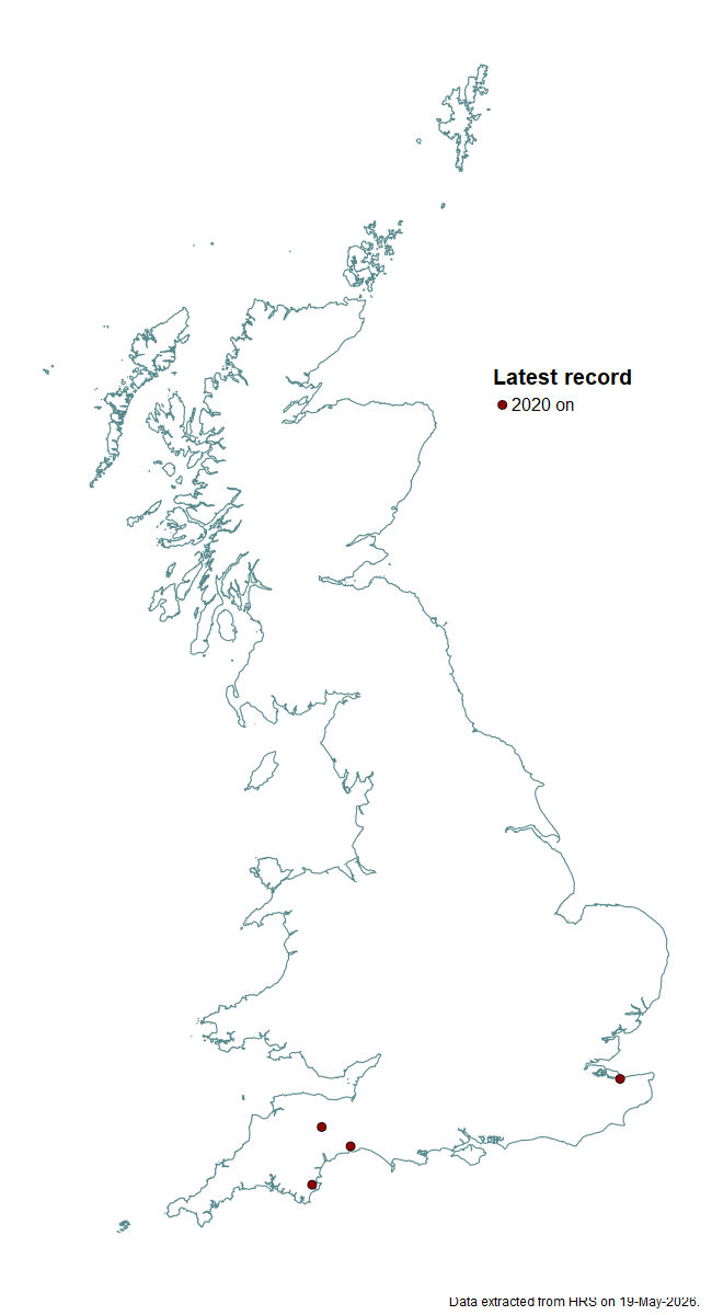 Distribution map for Sphegina limbipennis