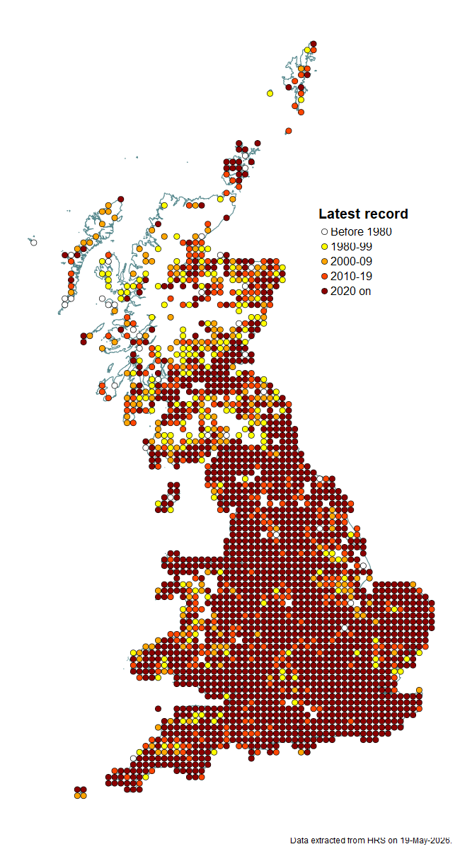 Distribution map for Syritta pipiens