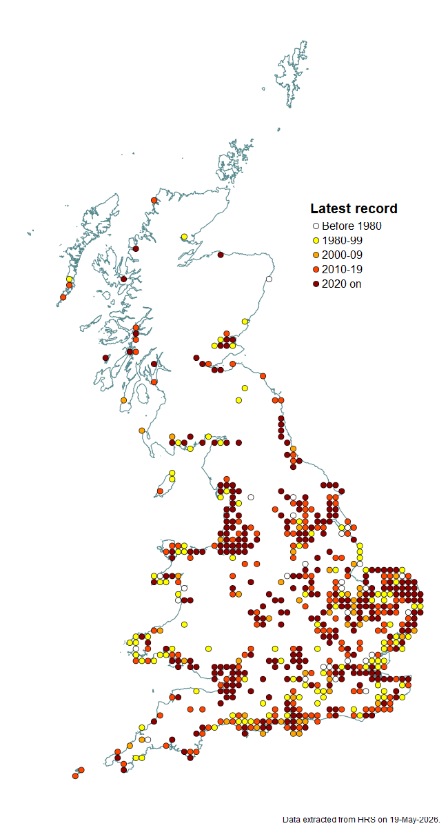 Distribution map for Tropidia scita