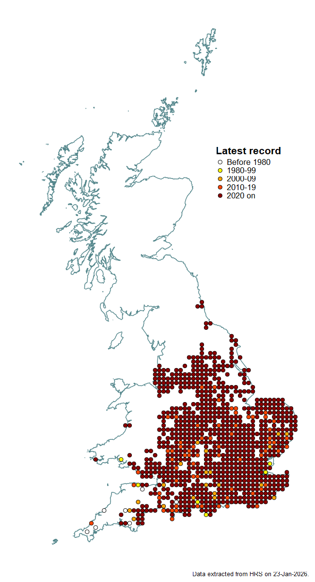 Distribution map for Volucella inanis
