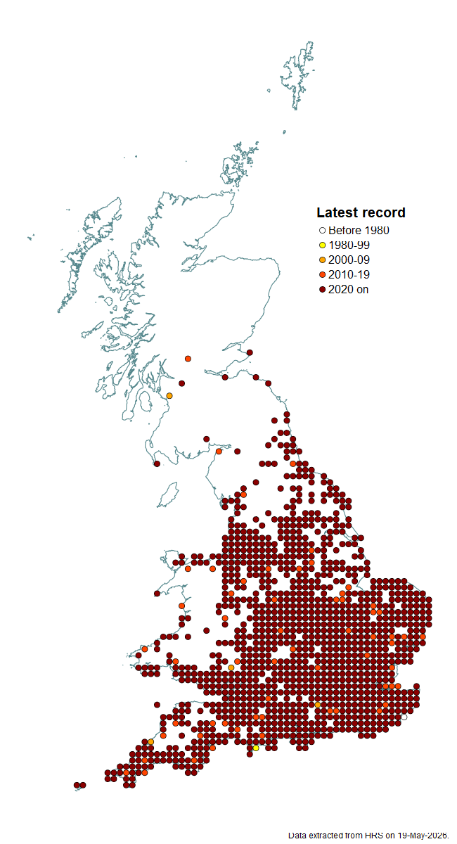 Distribution map for Volucella zonaria