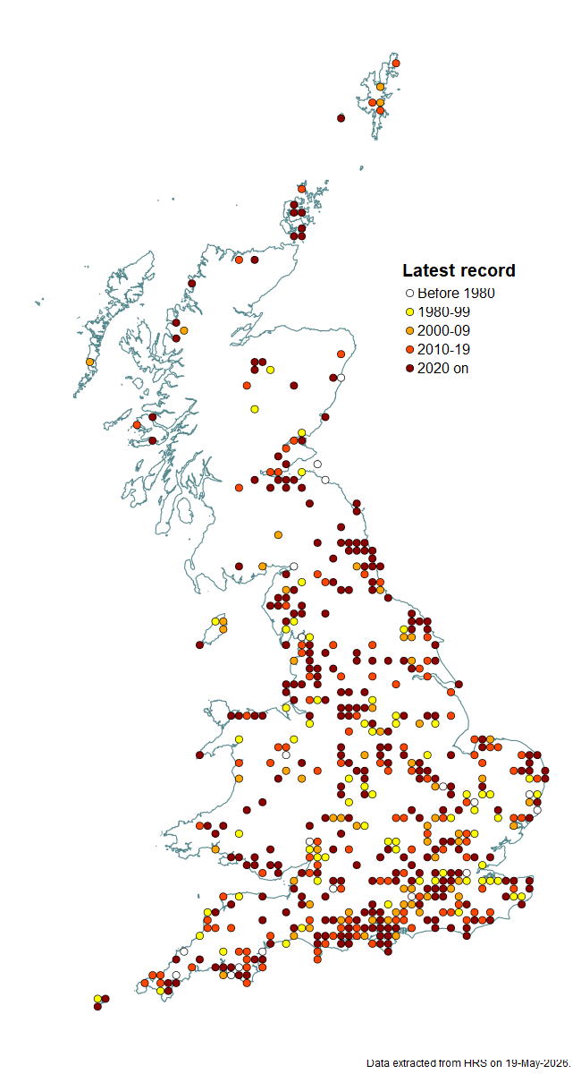 Distribution map for Xanthandrus comtus