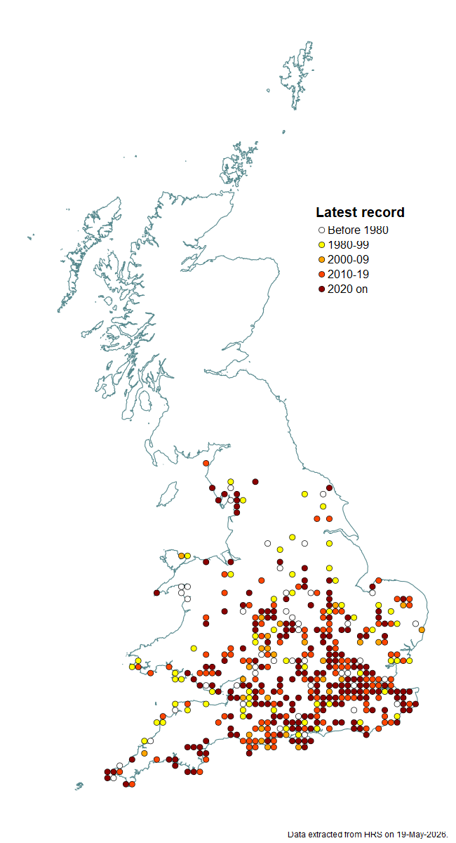 Distribution map for Xanthogramma citrofasciatum