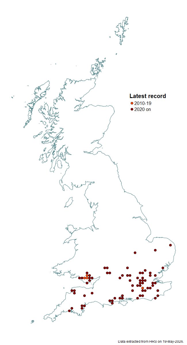 Distribution map for Xanthogramma stackelbergi