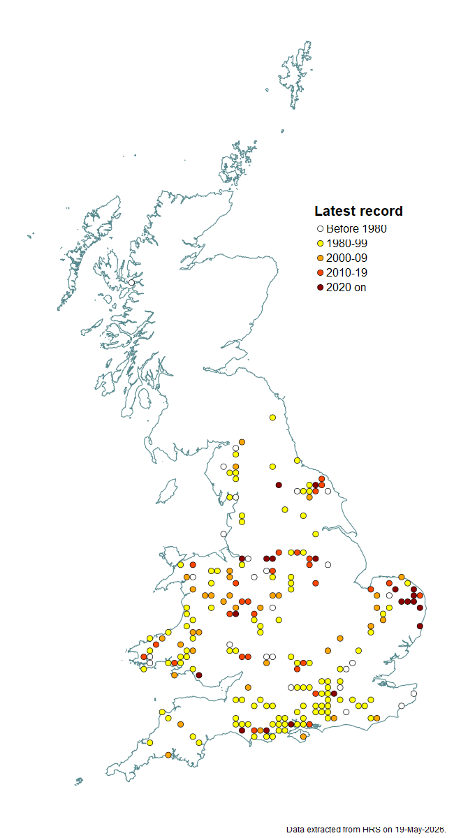Distribution map for Xylota florum