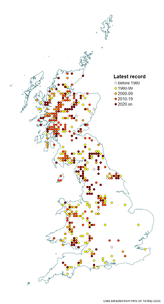 Distribution map for Xylota jakutorum