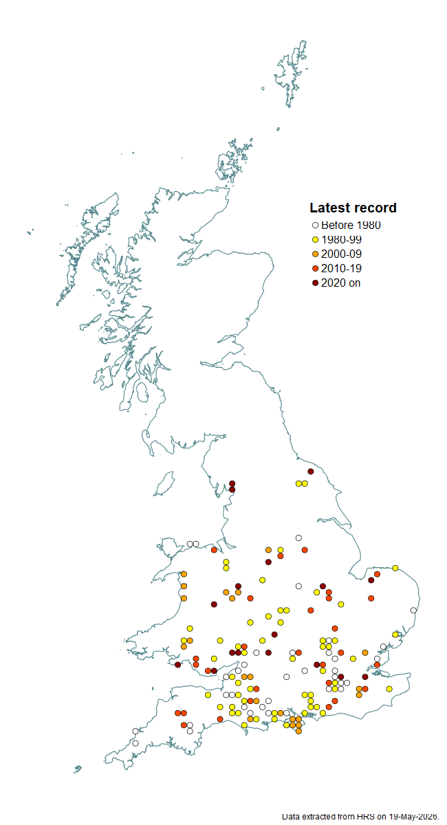 Distribution map for Xylota xanthocnema