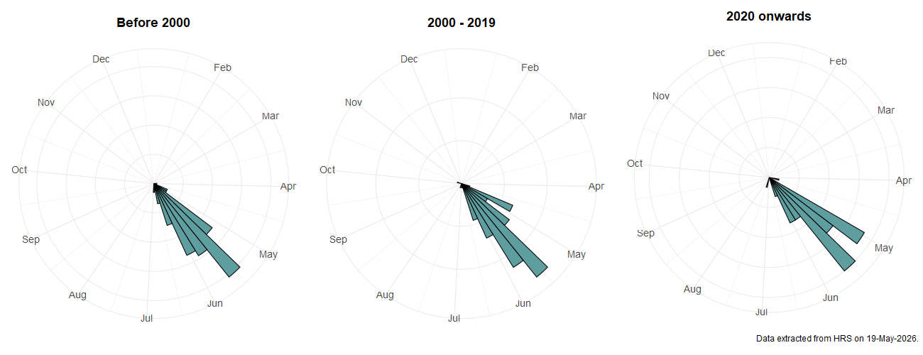 Phenology plots for Brachyopa insensilis