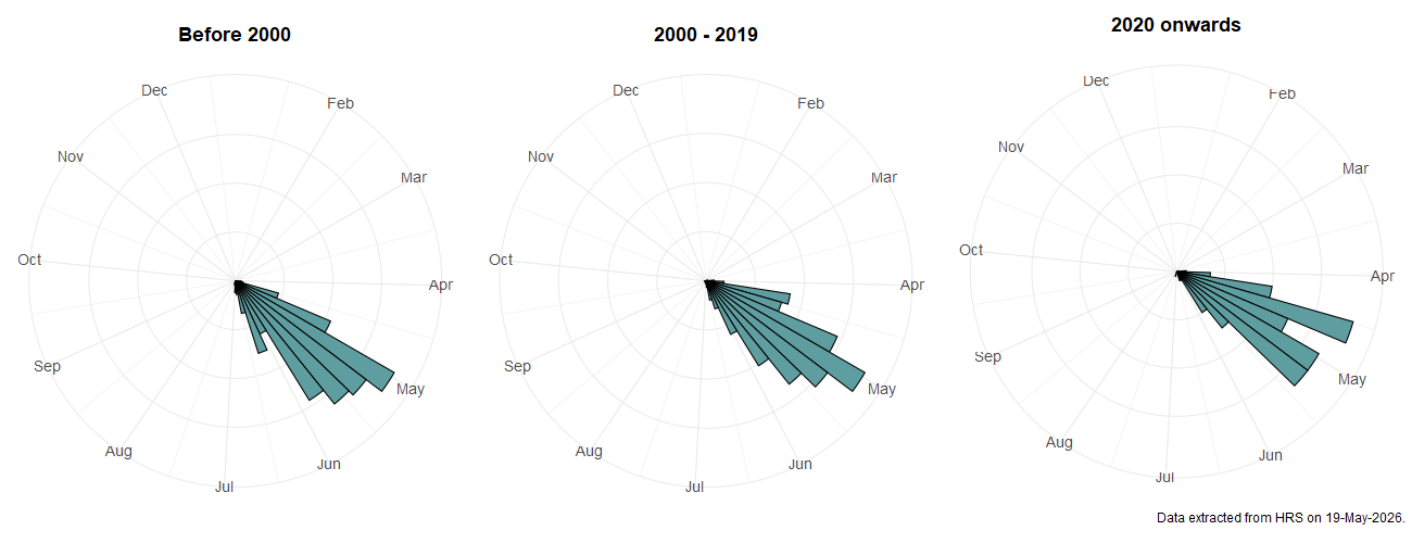 Phenology plots for Brachyopa scutellaris