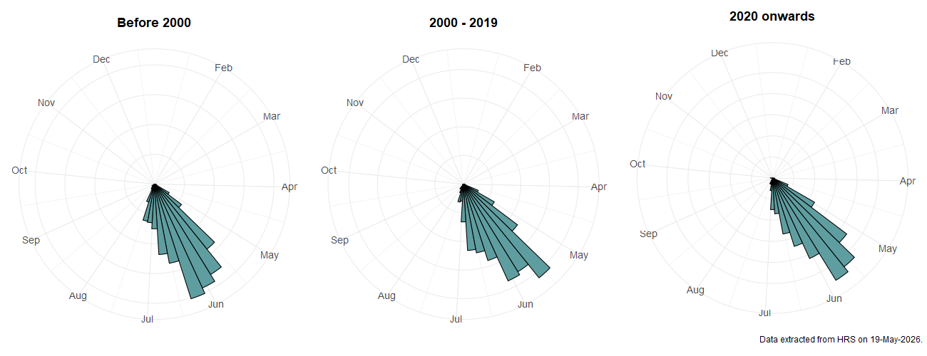 Phenology plots for Brachypalpoides lentus