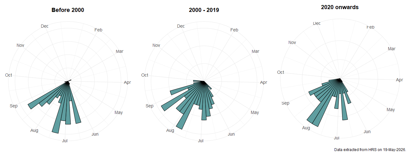 Phenology plots for Callicera aurata