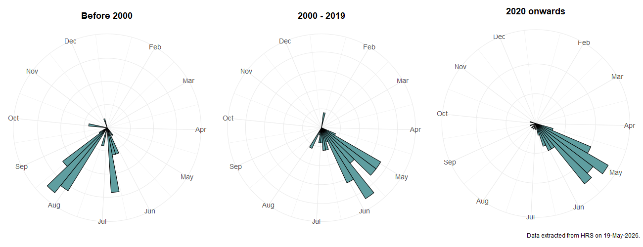 Phenology plots for Callicera rufa