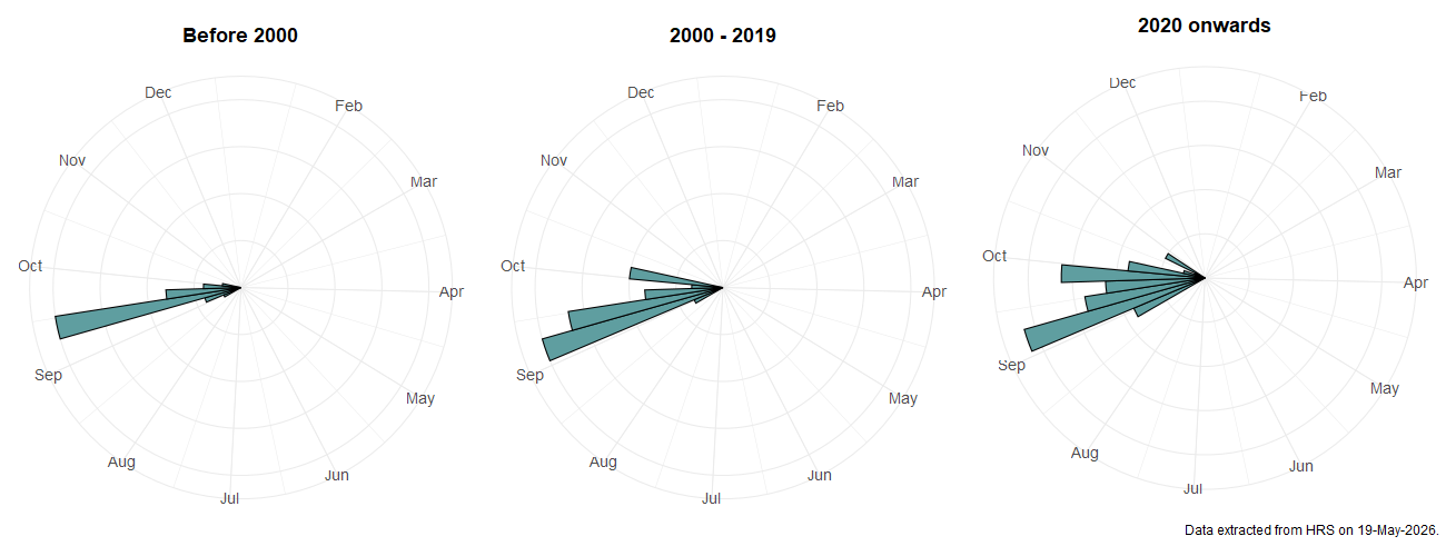 Phenology plots for Callicera spinolae