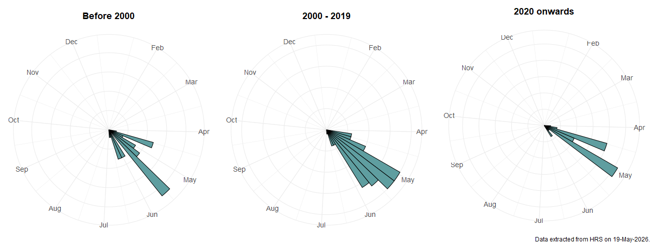 Phenology plots for Chalcosyrphus eunotus