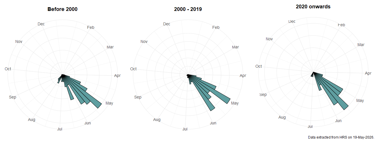 Phenology plots for Cheilosia antiqua