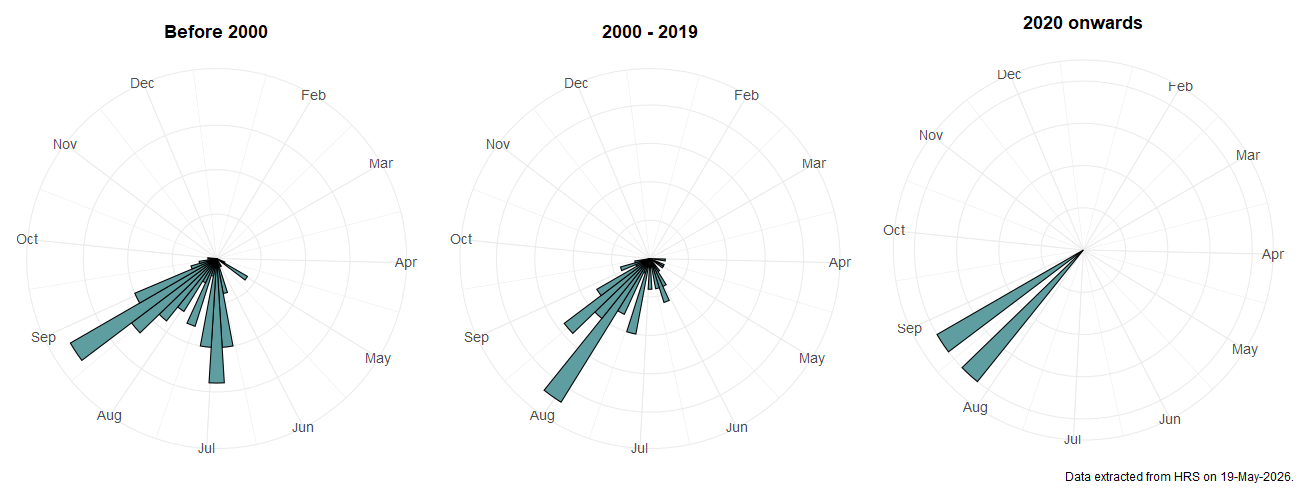 Phenology plots for Cheilosia cynocephala