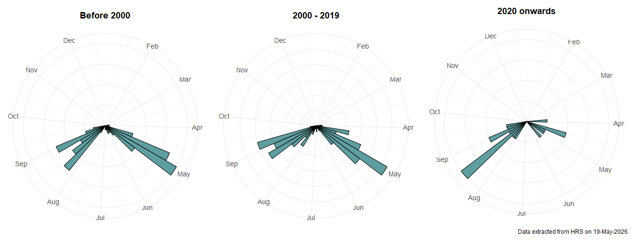 Phenology plots for Cheilosia griseiventris