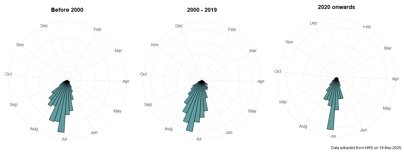 Phenology plots for Chrysogaster cemiteriorum