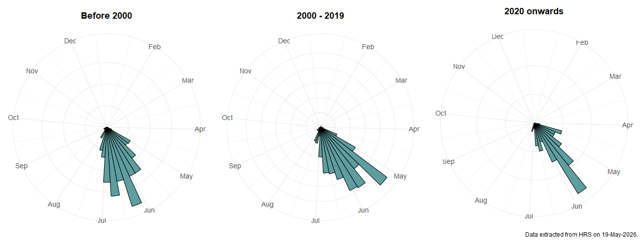 Phenology plots for Chrysogaster virescens