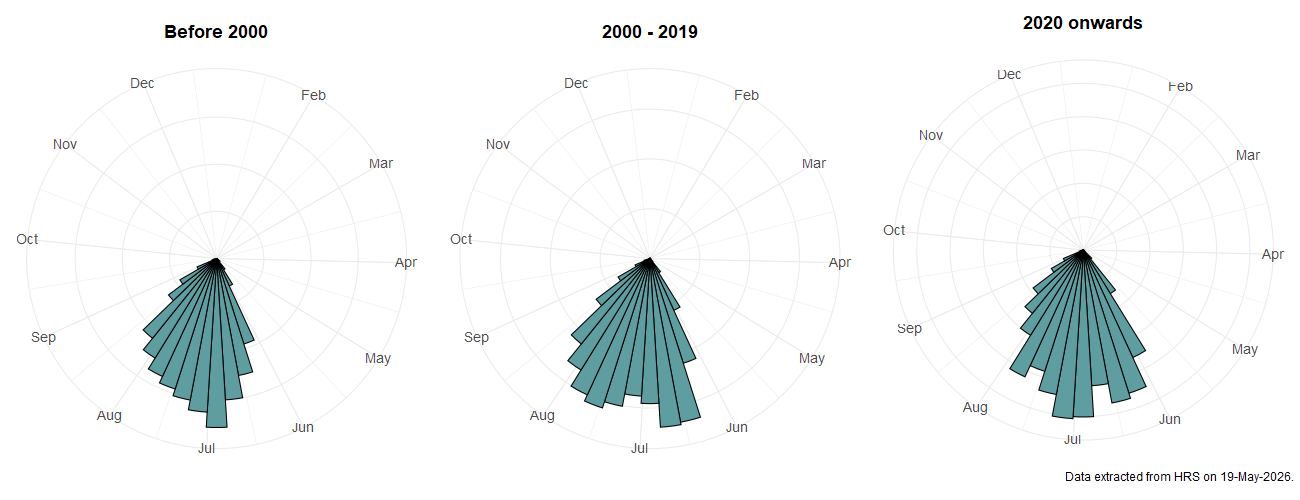 Phenology plots for Chrysotoxum bicinctum