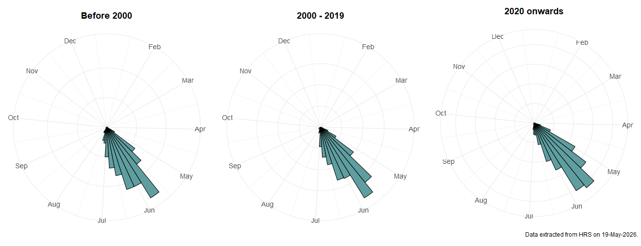 Phenology plots for Chrysotoxum cautum