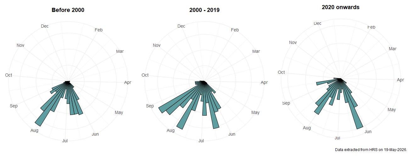Phenology plots for Chrysotoxum elegans