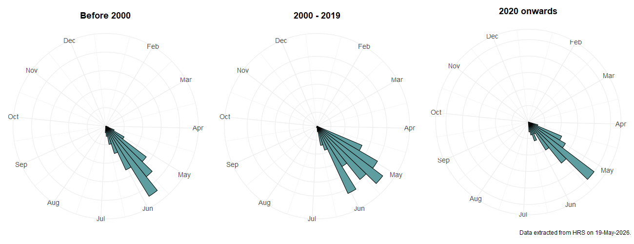 Phenology plots for Criorhina asilica