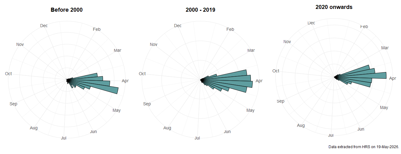 Phenology plots for Criorhina ranunculi