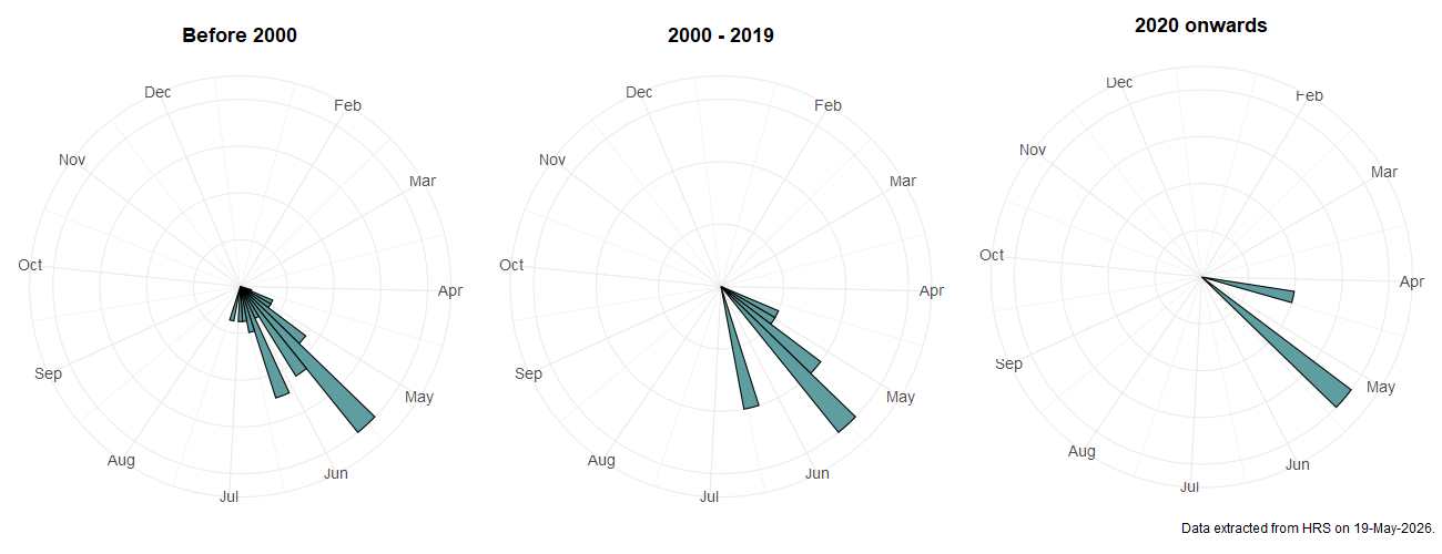 Phenology plots for Dasysyrphus friuliensis