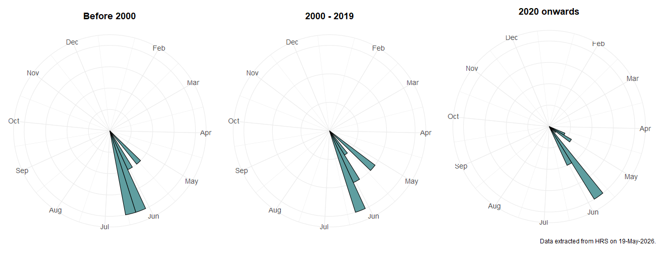 Phenology plots for Dasysyrphus neovenustus