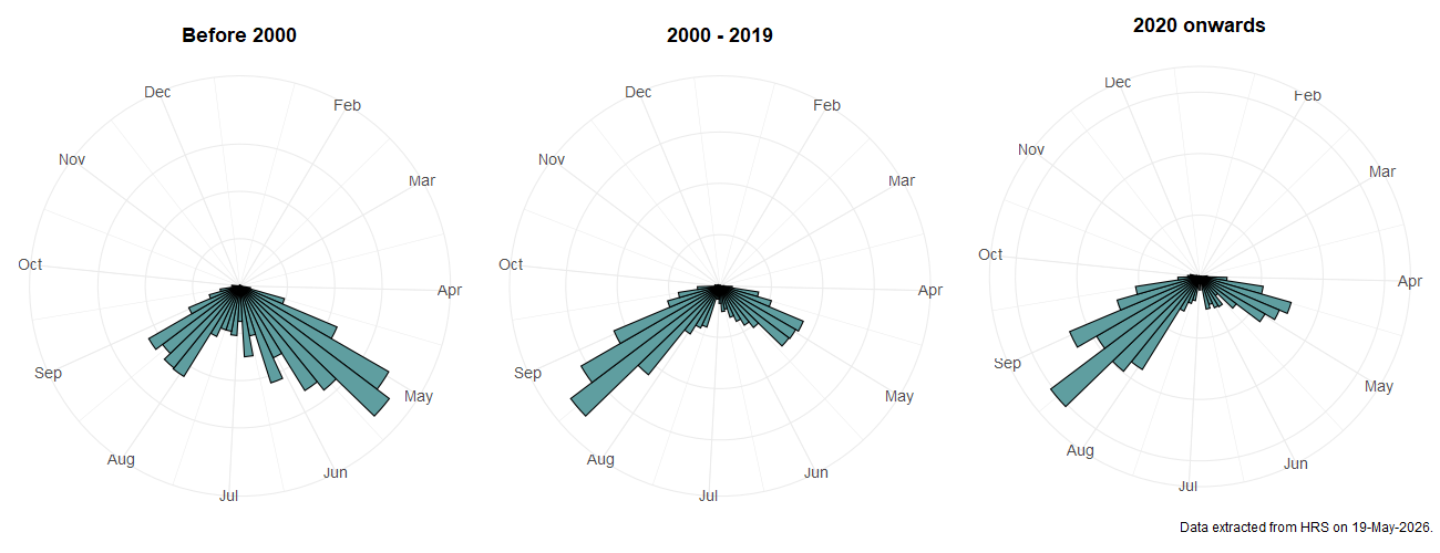 Phenology plots for Dasysyrphus tricinctus