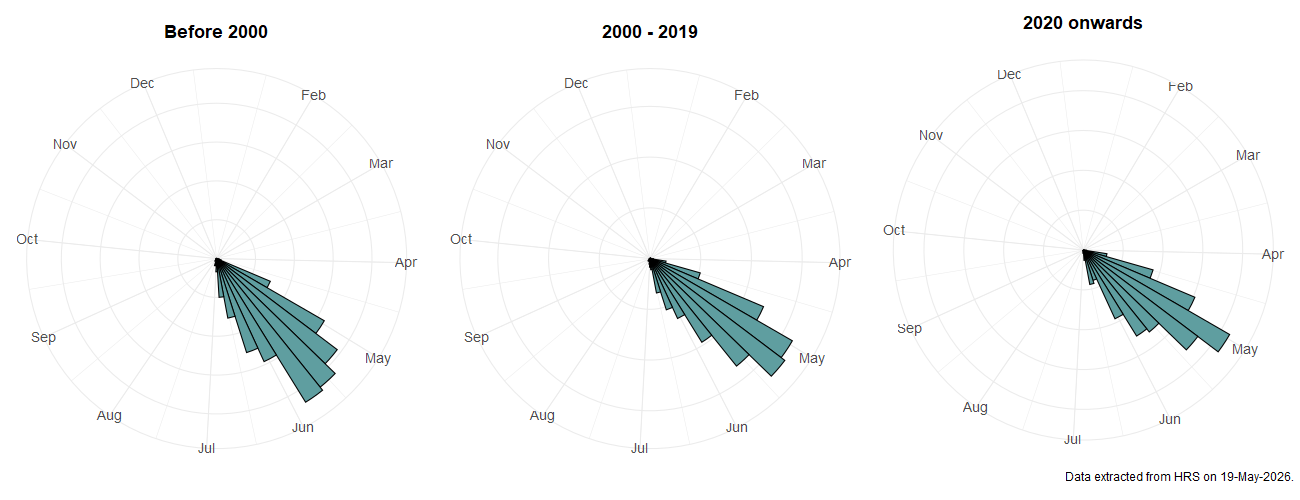 Phenology plots for Dasysyrphus venustus