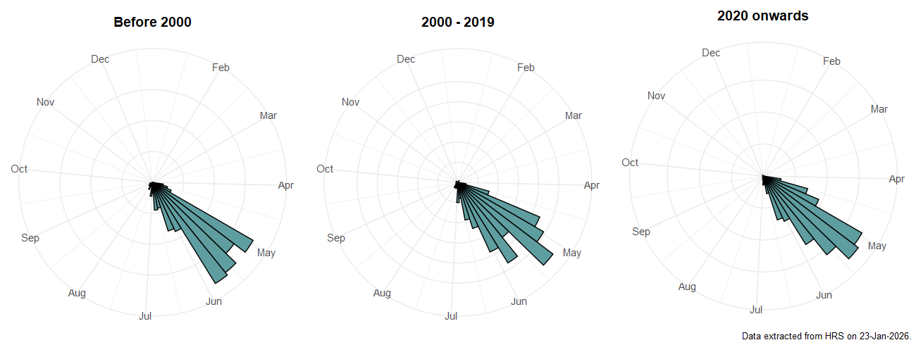 Phenology plots for Epistrophe nitidicollis