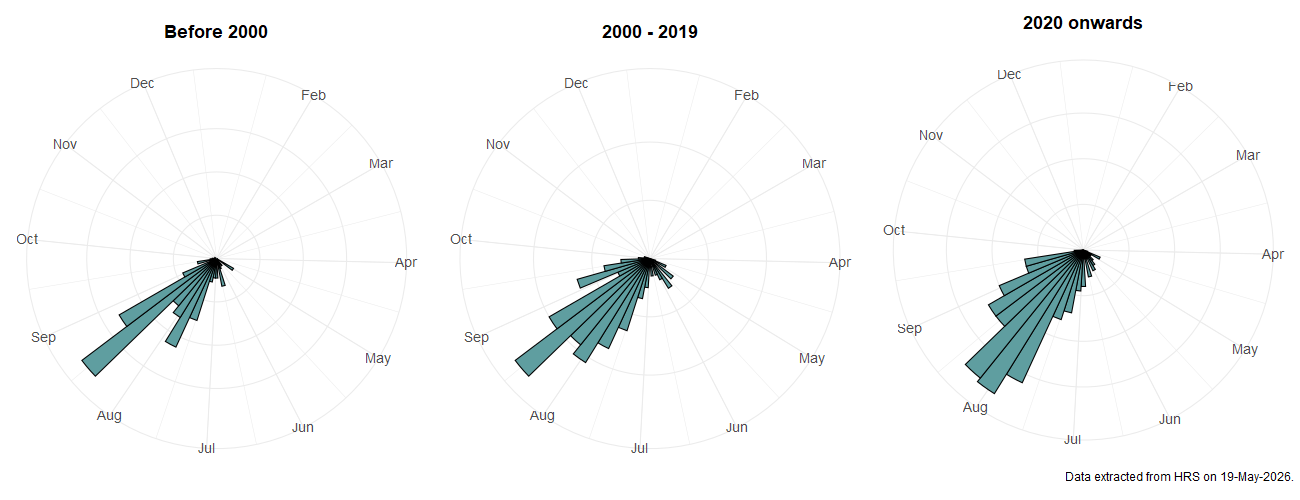 Phenology plots for Eriozona syrphoides