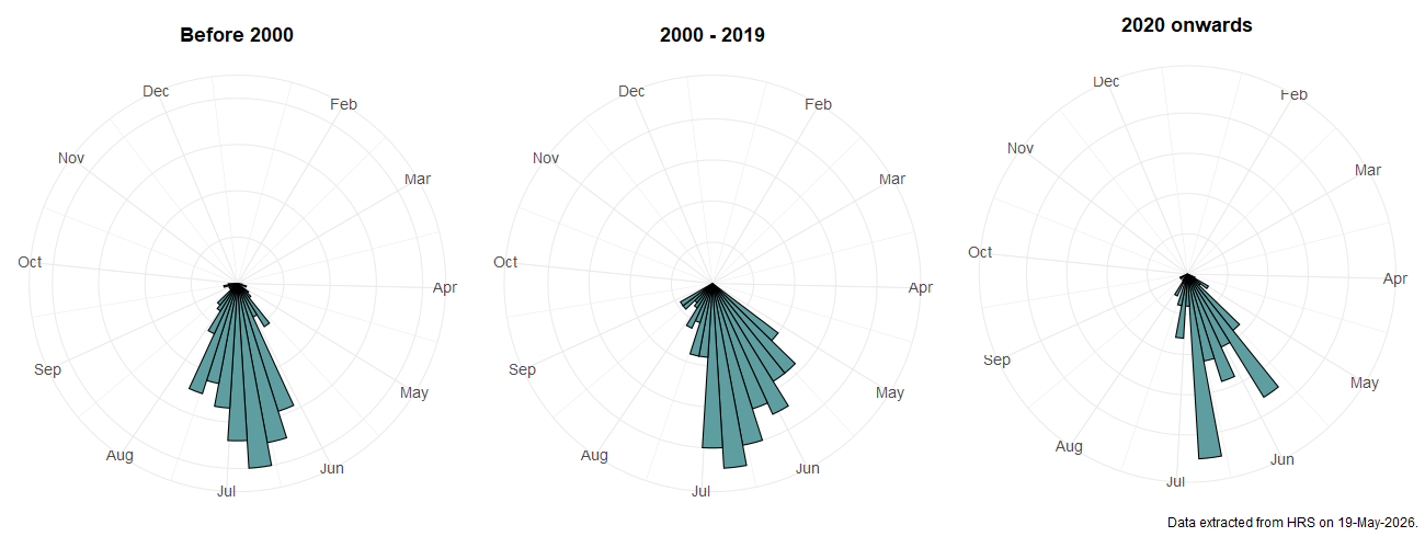 Phenology plots for Eumerus ornatus