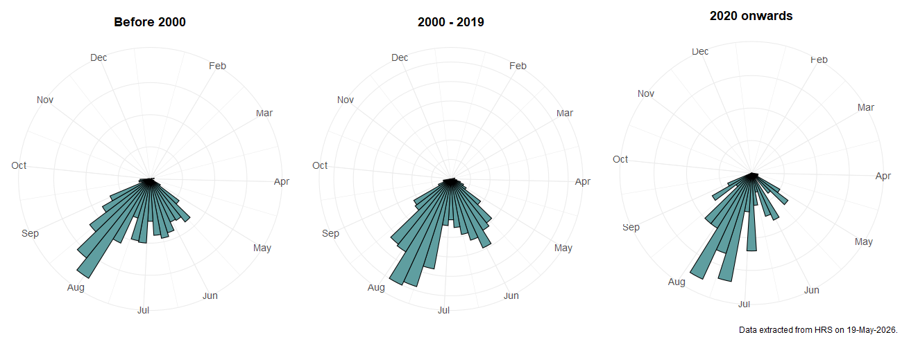Phenology plots for Eumerus strigatus