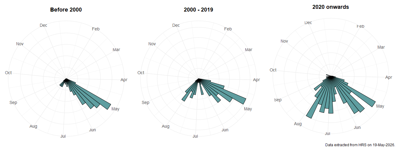 Phenology plots for Heringia heringi