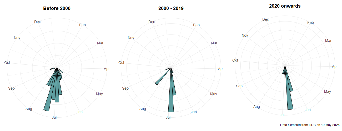 Phenology plots for Lejops vittatus