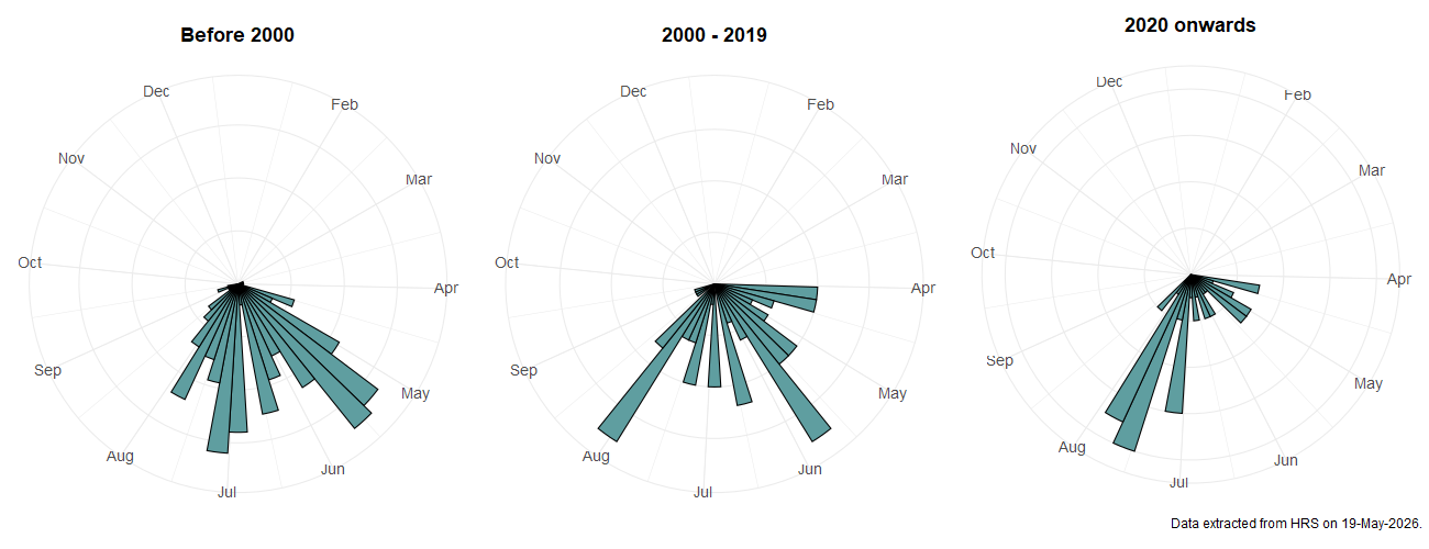 Phenology plots for Melangyna arctica