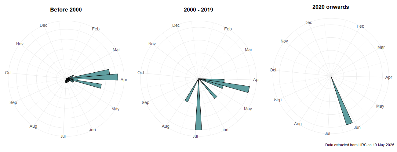 Phenology plots for Melangyna barbifrons