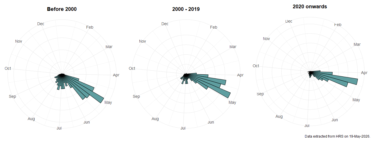Phenology plots for Melangyna cincta