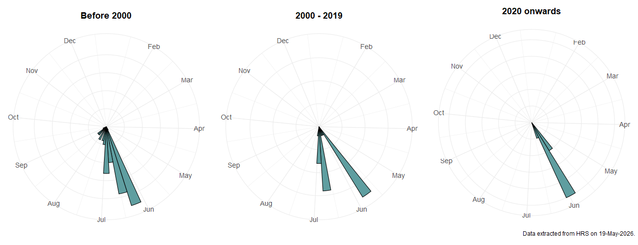 Phenology plots for Melanostoma certum