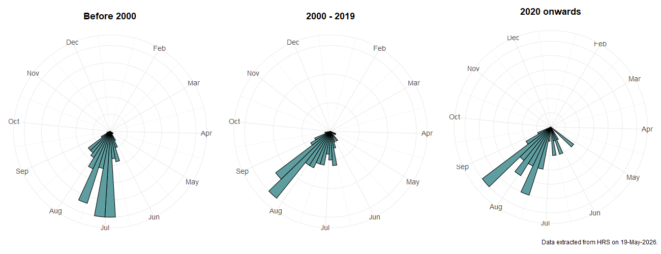 Phenology plots for Meligramma guttatum