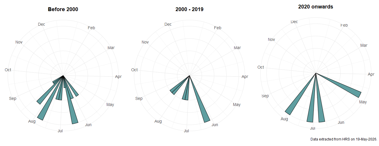 Phenology plots for Paragus albifrons