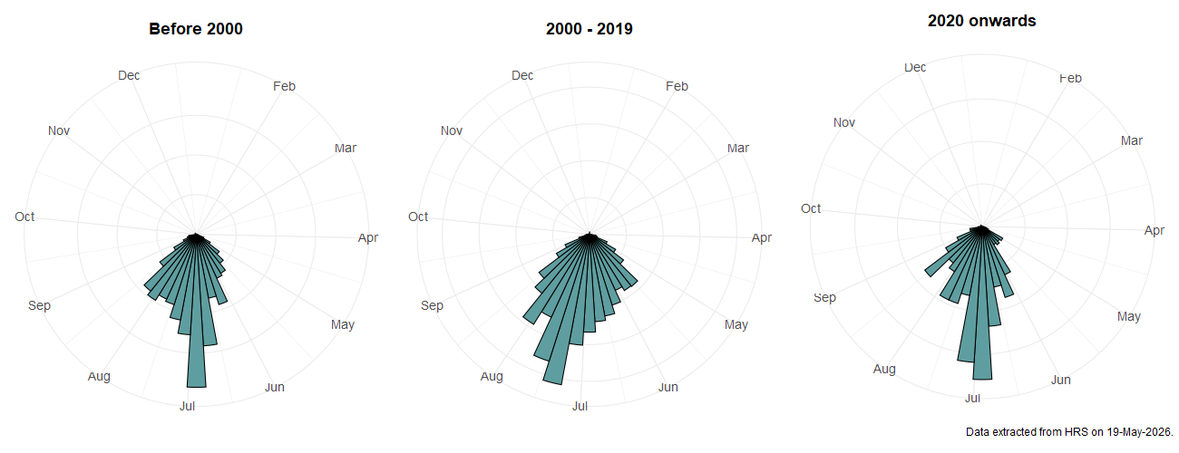 Phenology plots for Paragus haemorrhous