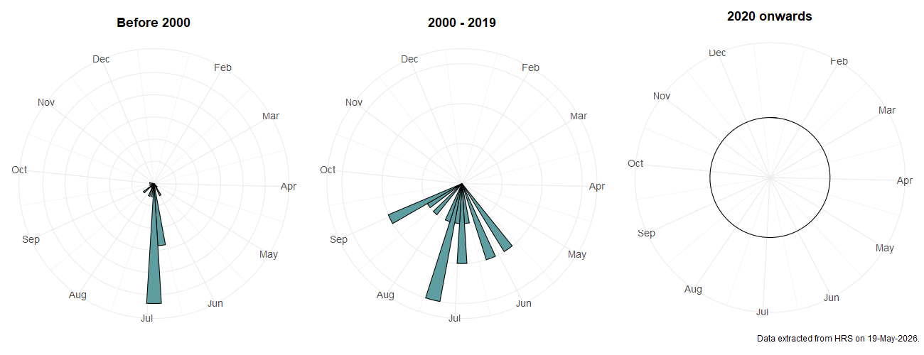 Phenology plots for Paragus tibialis