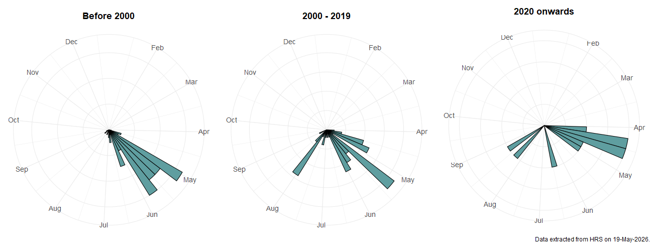 Phenology plots for Pipiza fasciata