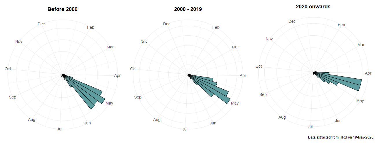 Phenology plots for Pipiza luteitarsis