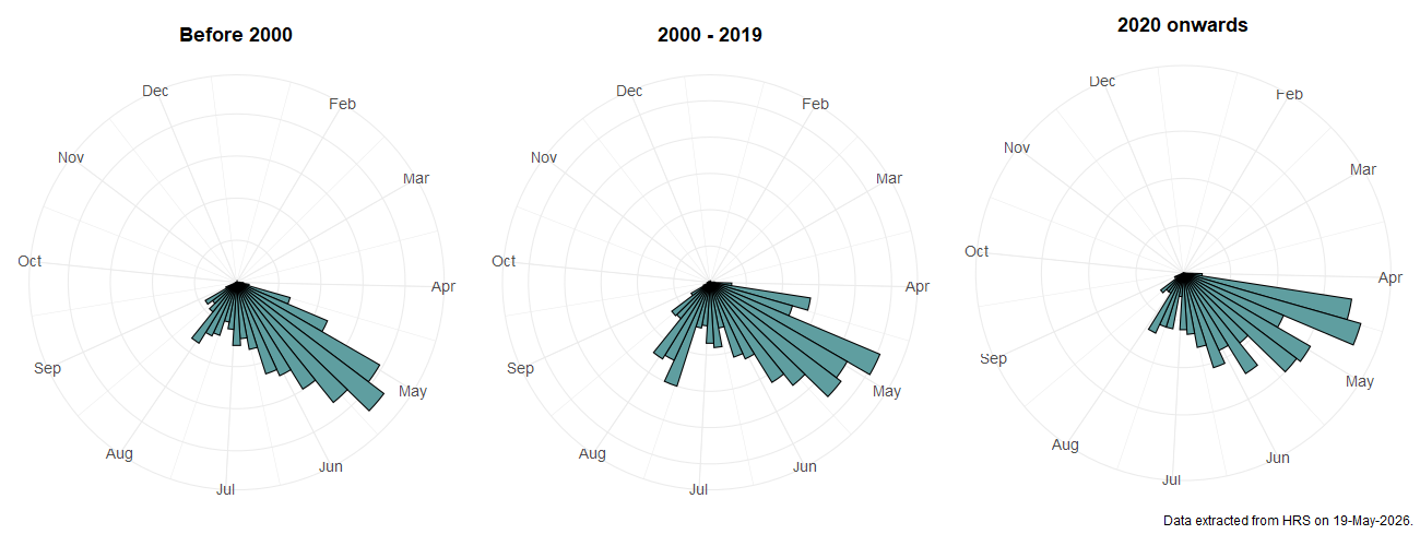Phenology plots for Pipiza noctiluca