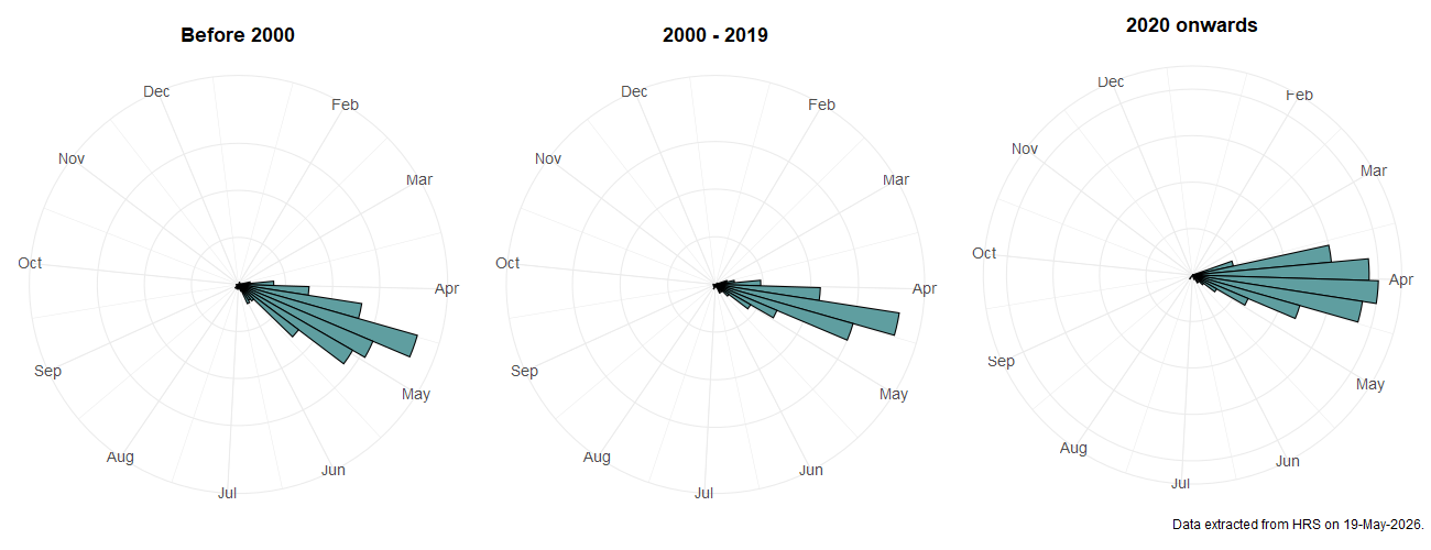 Phenology plots for Platycheirus ambiguus